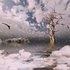 20110219164741-altered_state_of_mind