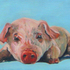 20110220070349-do_no_treat_human_like_a_piece_of_meat20x30cm_a