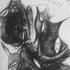 20110220111728-untitled_world_v_s