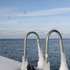 20110220131427-img_4697c