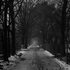 20110220235456-lurup2