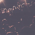 20110221100845-tumblr_lgkoewa6w61qh84uh