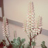 20110221101726-tumblr_lgkoi9zzof1qh84uh
