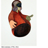 20110221155024-kure_ada_lovelace
