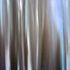 Birch_forest__sketch_