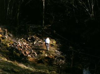 Origin of the Species (film still),Ben Rivers