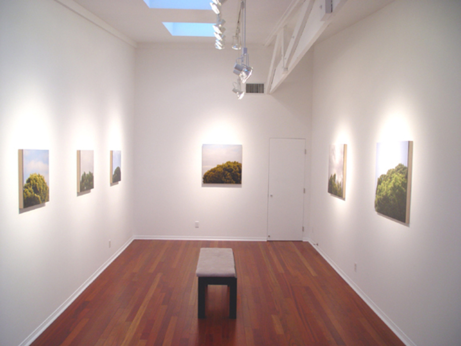 Installation_snapshot_2