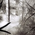 20110222131038-2111966-r2-003-0