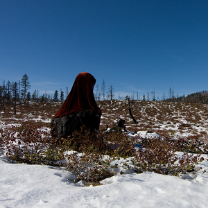 20110222132616-sheathe
