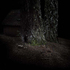 20110222135251-cabin