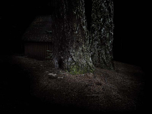 20110222135251-cabin
