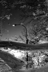 Almost,Rodolfo Vanmarcke