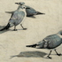 20110223113518-chargulls3_002-1