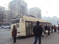 20110223141120-dsc03524