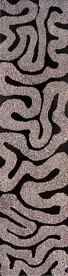 20110223182435-whitesqgonblk12x48