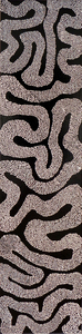 20110223182435-whitesqgonblk12x48