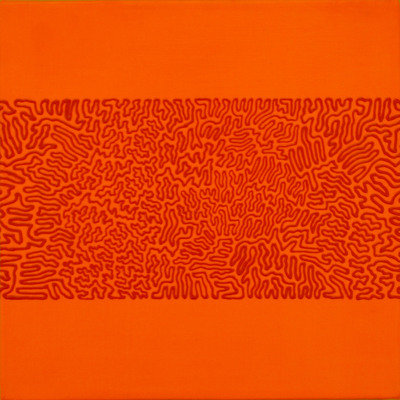 20110223203040-orgonflrorg12x12