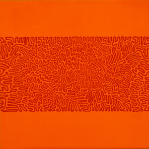 20110223203040-orgonflrorg12x12