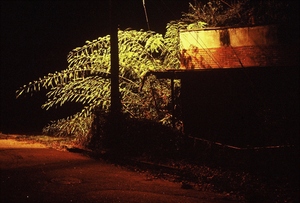 20110224041841-nightwalk