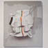 20110224122252-triggered_momentum_galleryshots_05