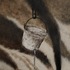 20110224142819-bucket_i