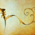 Ed_pics_005_curvessmall