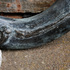 20110224150002-detail_1___bronze___2006