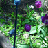 20110516211816-bite_hold