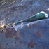 20120429170604-stork__bronze__2010