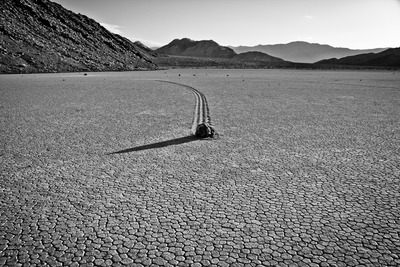 20110817144444-nature_s_movementsagosto_2011_trackable_software_installed_by_leandro_sanchez_all_rights_reserved_by_studio_repertorium_films_nyc