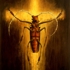 Artwork_ed_albers_001jpegsmall_copy