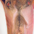 20110224202200-cecilia-jurado-chest