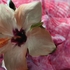 20110225104813-clone_of_clone