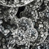 20110225121054-50564_donovan_vdet