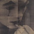 David-noonan-image