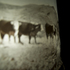 20110225183126-viewing_black