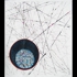 Cell_division