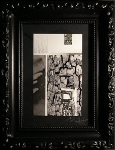 20110227100757-dscn0093