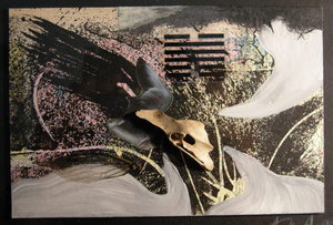 20110227100919-dscn0109