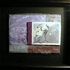 20110227103326-dscn0265