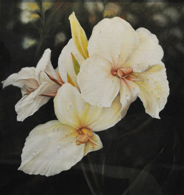 20110227121808-canna_lillies