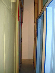 Bunga1