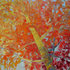 20110227150552-thepresent_web