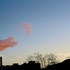 20110228053609-evansjo-r2-e053