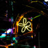 20110228095802-xdsc_4995