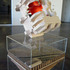 20110228102035-img_8223
