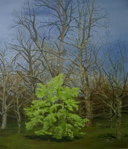 5_kew_gardens