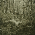 21_bois_de_boulogne