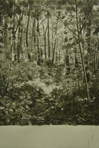 21_bois_de_boulogne