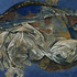 20110301125603-nautilus